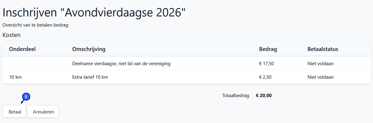 evenementen_betaaloverzicht.png