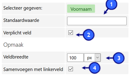 website_formulier_details_tekstveld.png